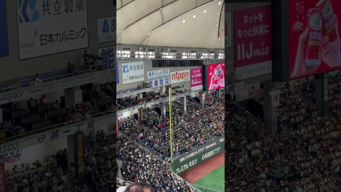 【ハモリ】東京ヤクルトスワローズ 松本直樹 応援歌