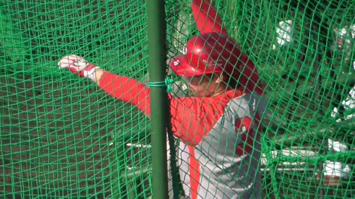 2025年2月 広島東洋・沖縄春季キャンプ 坂倉 将吾 選手のフリー打撃練習