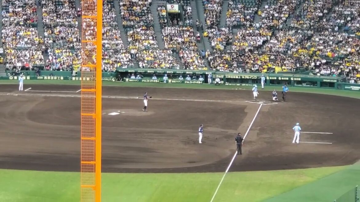 20240609　そら誰にも劣らんよ【糸原健斗 ﾋｯﾃｨﾝｸﾞﾏｰﾁ】　7回ｳﾗ　阪神ﾀｲｶﾞｰｽ　応援歌@阪神甲子園球場･ﾚﾌﾄ外野 日本生命ｾ･ﾊﾟ交流戦