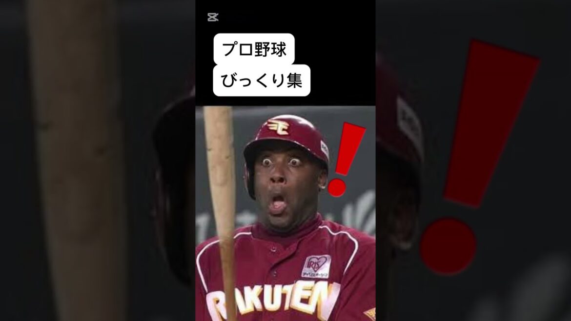 プロ野球おもしろ画像　バットにびっくり　#プロ野球#野球#NPB#落合博満#柳田悠岐 #バレンティン#ウィーラー#珍プレー#好プレー#ファインプレー#イチロー#大谷翔平