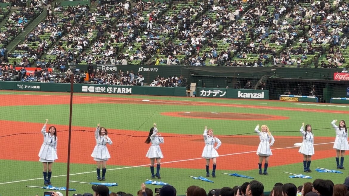 2025年3月30日 開幕3戦目のライオンズスタメン応援歌メドレー【西武vs日本ハム】 2025年3月30日 開幕3戦目のライオンズスタメン応援歌メドレー【西武vs日本ハム】