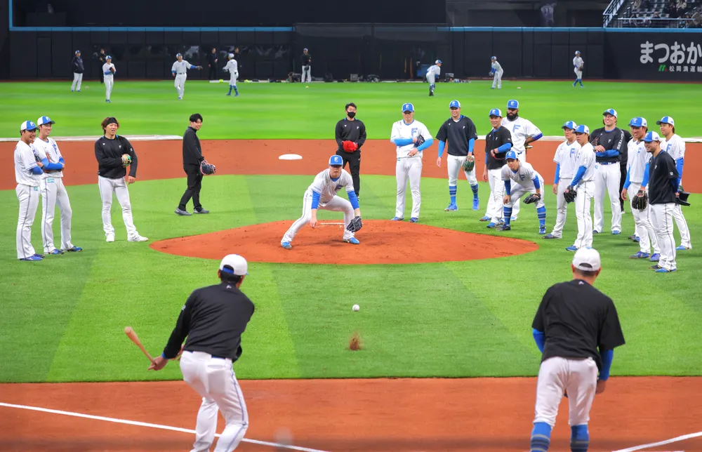 エスコン内野が人工芝に 日ハム選手が初練習 – 北海道新聞 エスコン内野が人工芝に 日ハム選手が初練習 - 北海道新聞