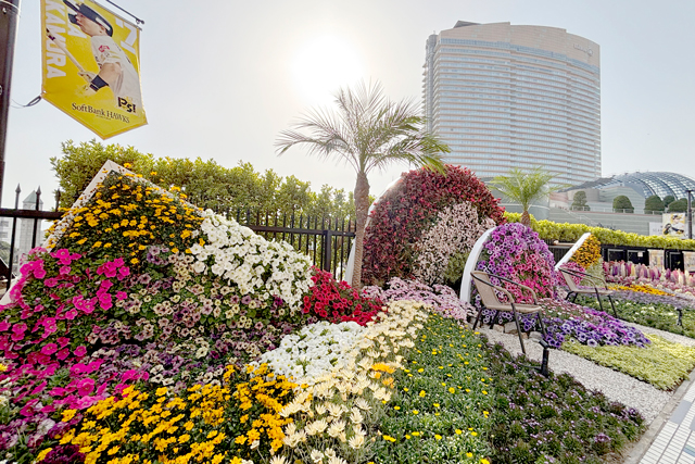 MIYAZAKI PS! GARDENが完成 | 福岡ソフトバンクホークス MIYAZAKI PS! GARDENが完成 | 福岡ソフトバンクホークス