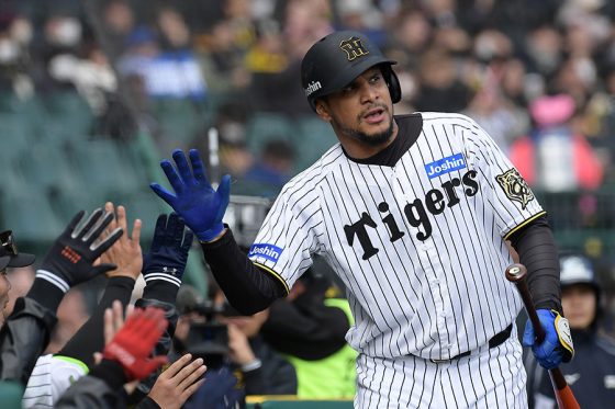 阪神の新助っ人が「良すぎる」 豪快1号で打率.400…甲子園熱狂「優勝だろ」 | Full-Count 阪神の新助っ人が「良すぎる」 豪快1号で打率.400…甲子園熱狂「優勝だろ」 | Full-Count