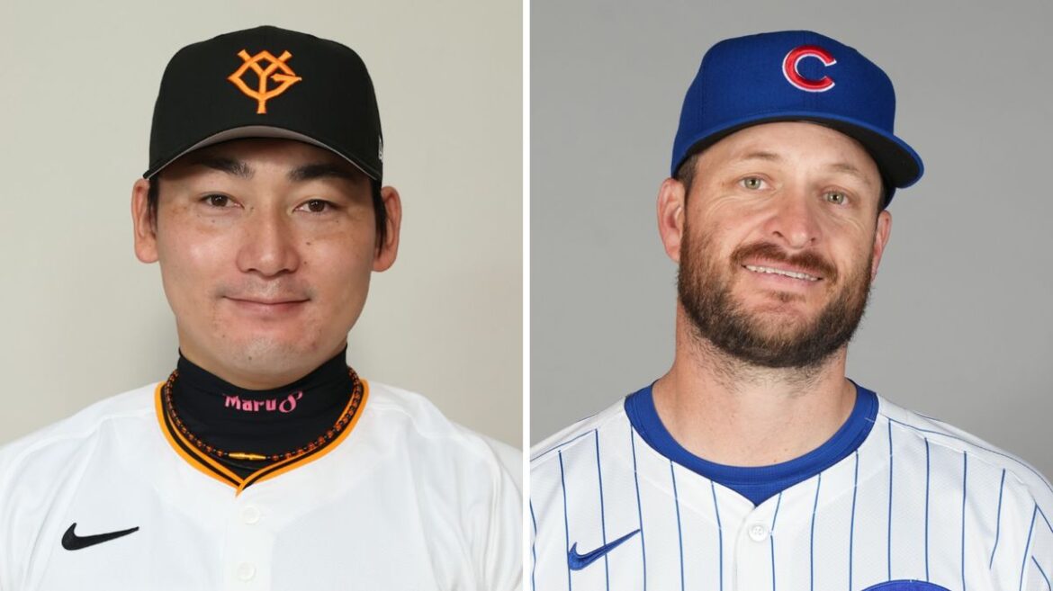 日本テレビ放送網