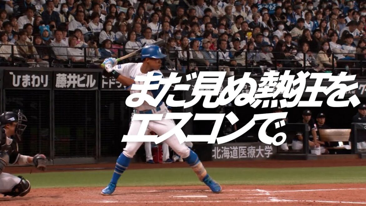 【いよいよ2025年開幕】まだ見ぬ、熱狂をエスコンで！