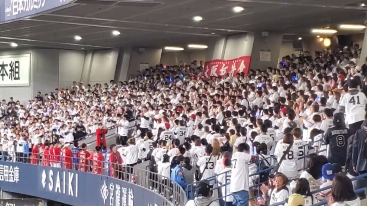 ［開幕戦］20250328　試合後にﾗｲｽﾀから流れる♪【BuffaYell ﾊﾞﾌｧｴｰﾙ】　ｵﾘｯｸｽ･ﾊﾞﾌｧﾛｰｽﾞ　ﾁｰﾑ応援歌　ﾗｲﾄｽﾀﾝﾄﾞ@京ｾﾗﾄﾞｰﾑ大阪･ﾗｲﾄ外野下段