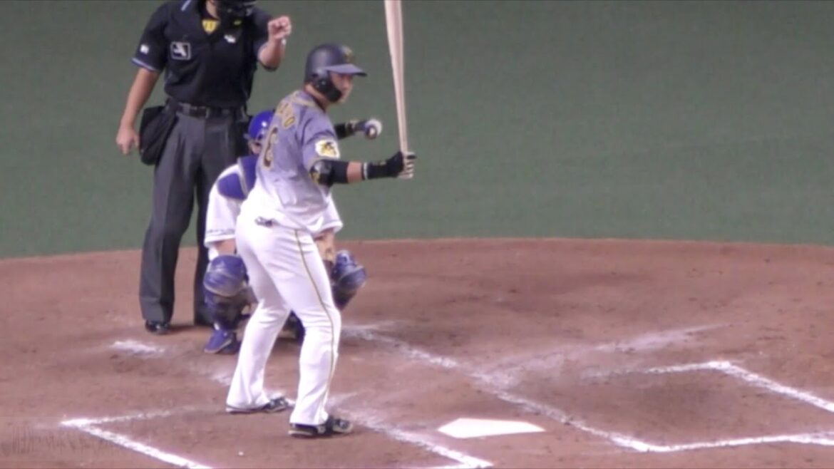 大山悠輔　左打ちにしてみた　つくば秀英高校　白鷗大学　阪神タイガース