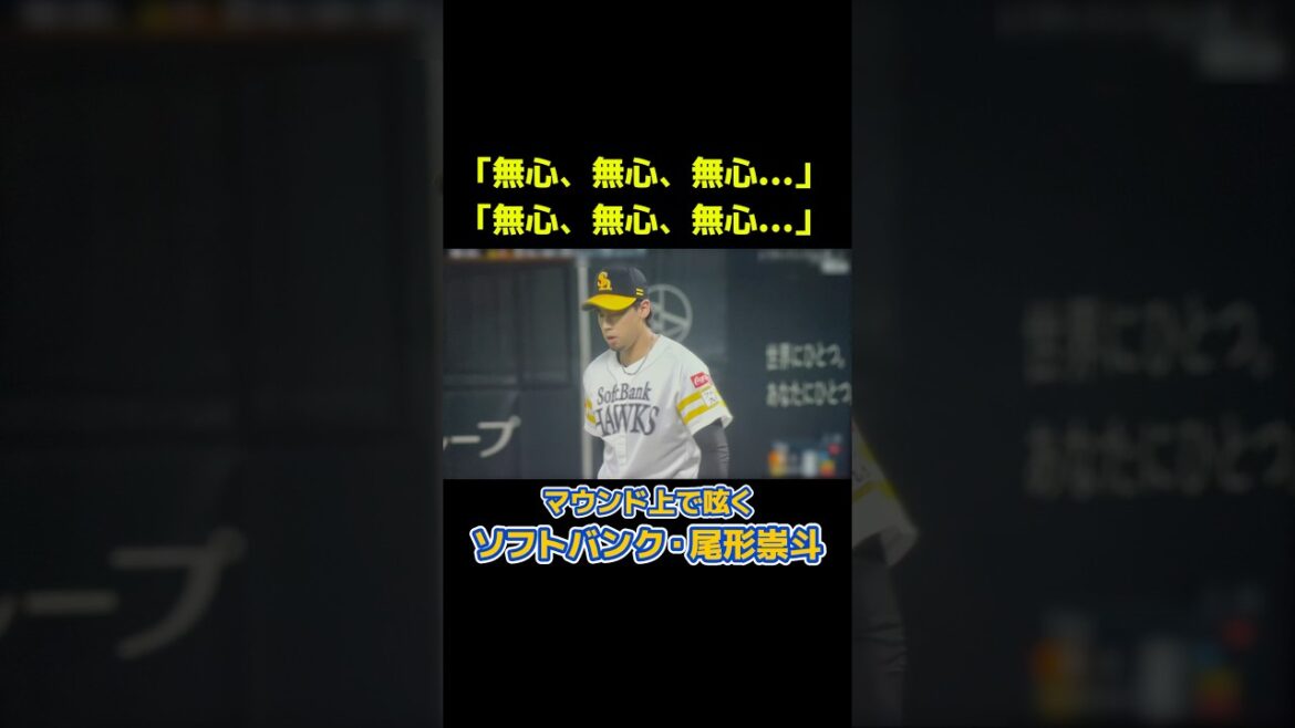 「雑念」を捨て去る‼️