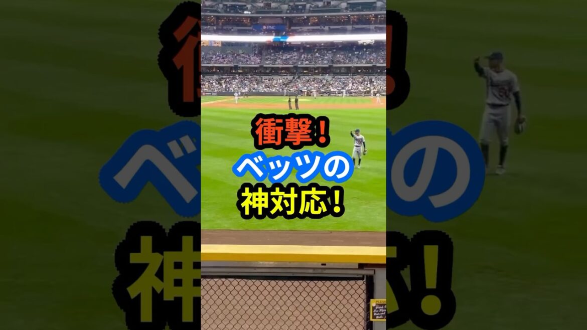 衝撃‼︎ドジャース ベッツの神対応‼︎ #大谷翔平 #mlb  #shorts  #ドジャース #野球 #ohtani #ベッツ #ファン