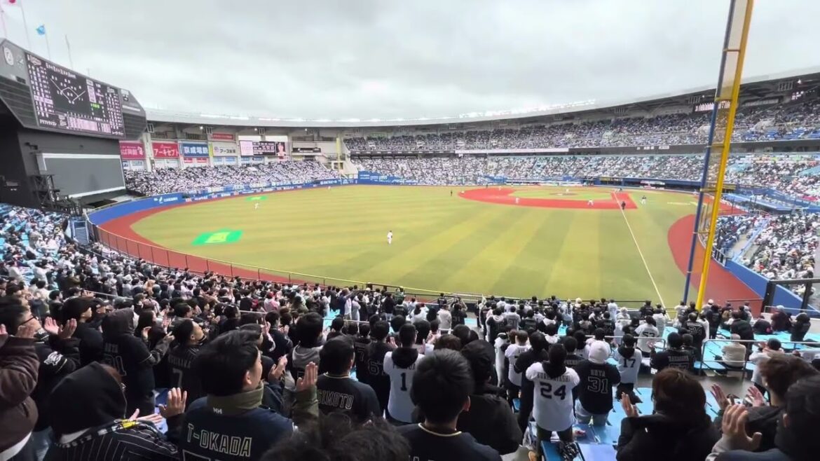 【関東開幕戦】オリックス 太田椋 応援歌 2025.4.2