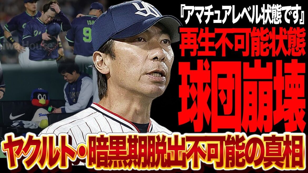 ヤクルトが内部分裂…監督と選手に大きな溝ができた衝撃の舞台裏に絶句！！かつてリーグ優勝を２度成し遂げた高津ヤクルトが崩壊してしまった理由が…【プロ野球】
