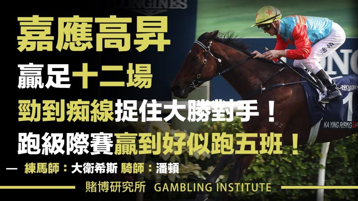 【賽馬重溫】嘉應高昇贏足十二場！｜勁到痴線捉住大勝對手！跑級際賽赢到好似跑五班！