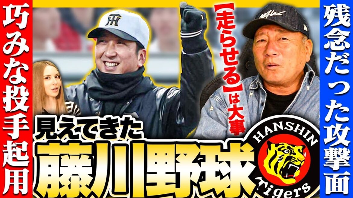 【阪神】”投手起用法が岡田阪神とは違う！”見えてきた藤川新監督の野球について語ります！【プロ野球】