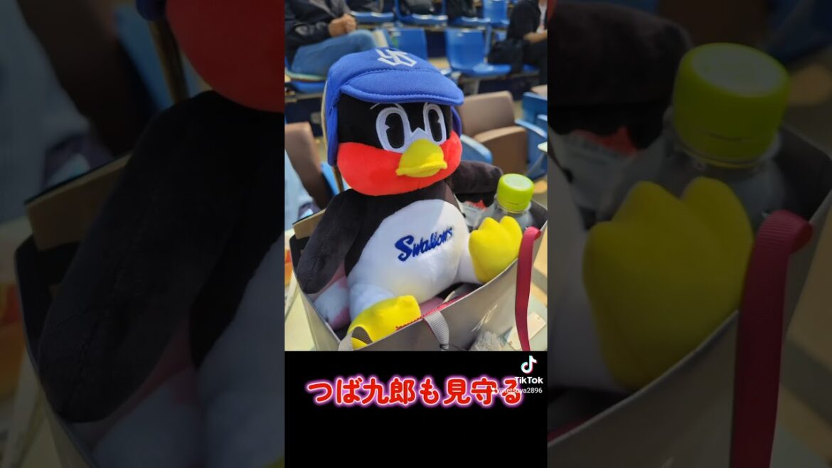 角田さんと鎌ケ谷スタジアムへ行って来ました!　#日本ハムファイターズ #ヤクルトスワローズ #山田哲人 #澤野聖悠 #シャウエッセンホットドック #つば九郎