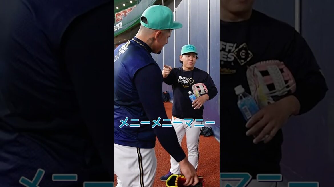 NEXTお願いします！#宮城大弥 #マチャド #オリックス #shorts