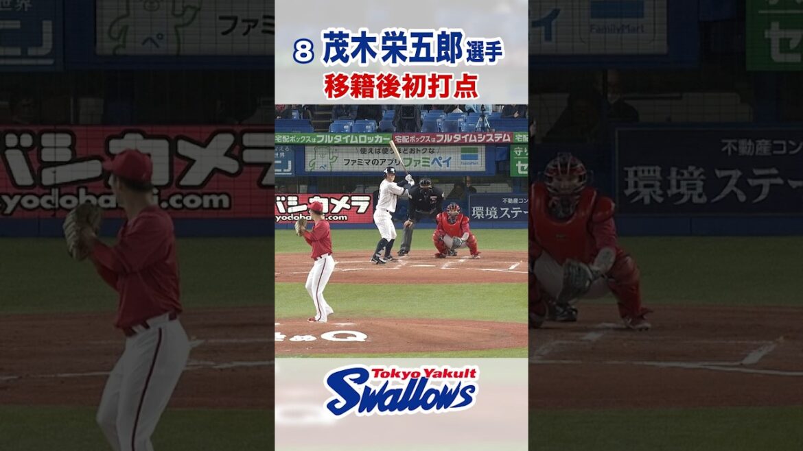 茂木栄五郎選手 移籍後初打点  #swallows #東京ヤクルトスワローズ #shorts