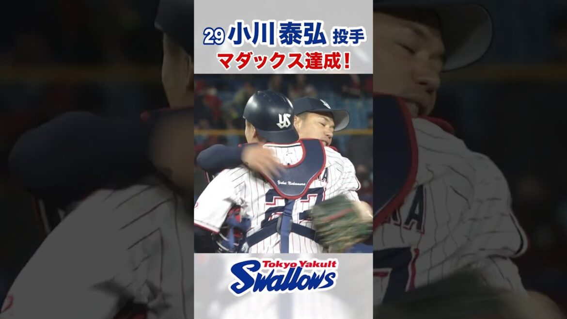 小川泰弘投手マダックス達成!  #swallows  #東京ヤクルトスワローズ #shorts