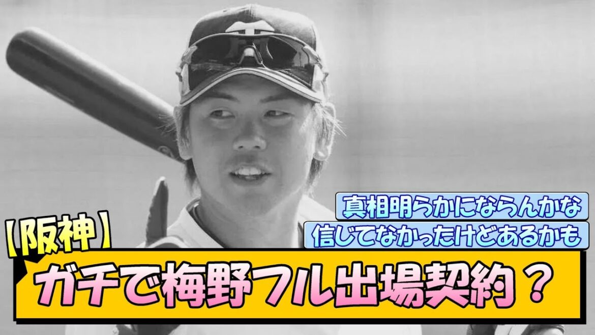 【阪神】ガチで梅野フル出場契約？【なんJ/2ch/5ch/ネット 反応 まとめ/阪神タイガース/藤川球児/プロ野球/藤川監督】