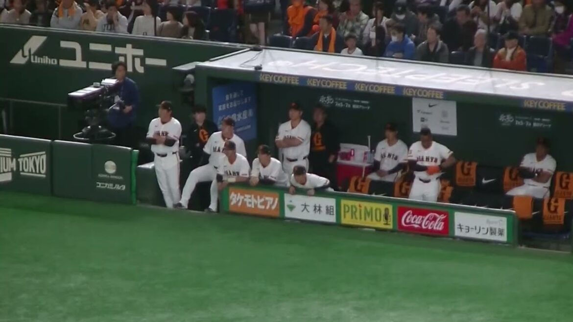 吉川尚輝がチャンスでヒットで喜ぶジャイアンツベンチ子【読売ジャイアンツ対 ヤクルトスワローズ 2025年3月29日】