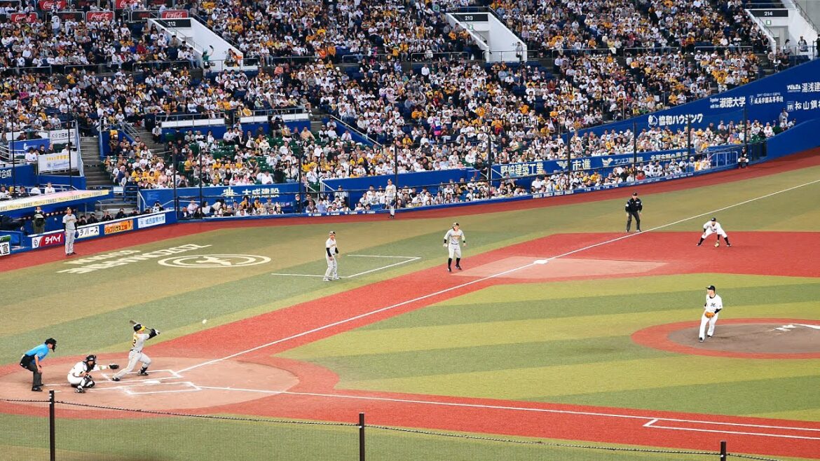 【阪神】坂本誠志郎のサード内野安打で先制、盛り上がるレフトスタンド