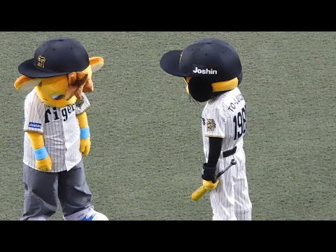 調子に乗って兄貴に泣かされるコラッキー 2025.4.2 阪神vs DeNA試合前 調子に乗って兄貴に泣かされるコラッキー 2025.4.2 阪神vs DeNA試合前