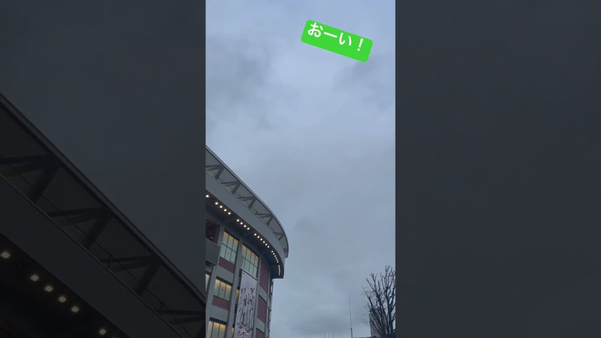 空を見上げて。ヤクルトスワローズ神宮開幕2日目