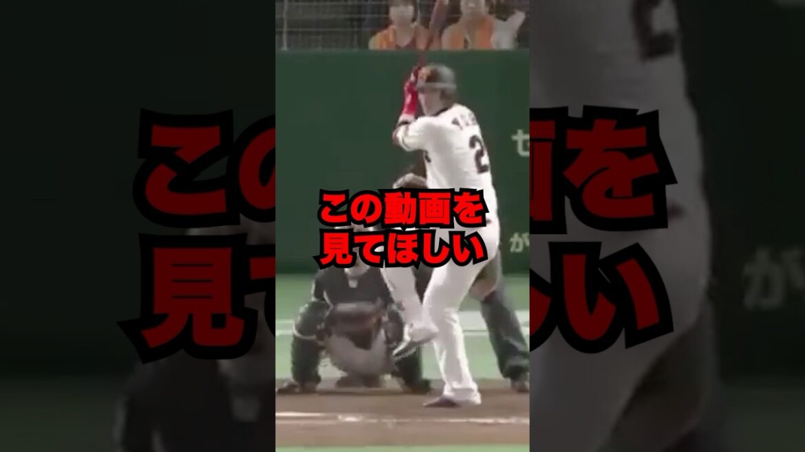 この動画を見てほしい(巨人 陽岱鋼)#shorts #プロ野球 #巨人 #死球 #陽岱鋼 この動画を見てほしい(巨人 陽岱鋼)#shorts #プロ野球 #巨人 #死球 #陽岱鋼