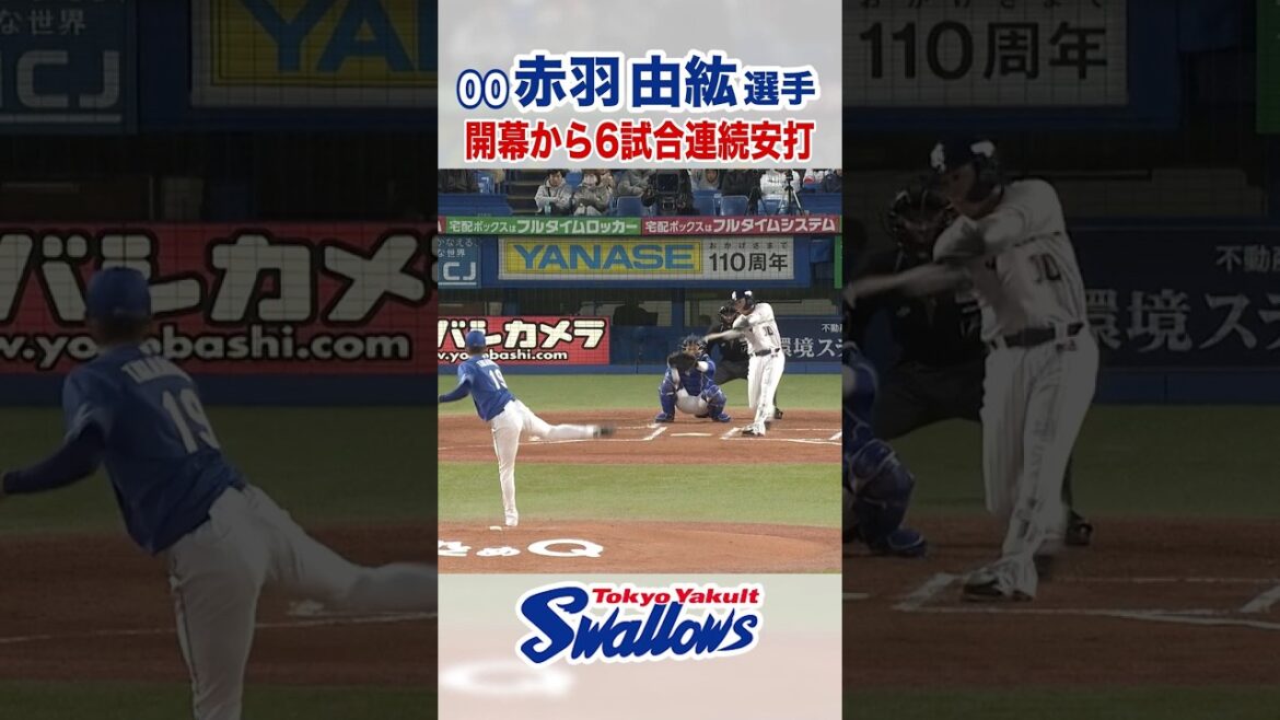 赤羽由紘選手 開幕から6試合連続安打  #swallows  #東京ヤクルトスワローズ #shorts