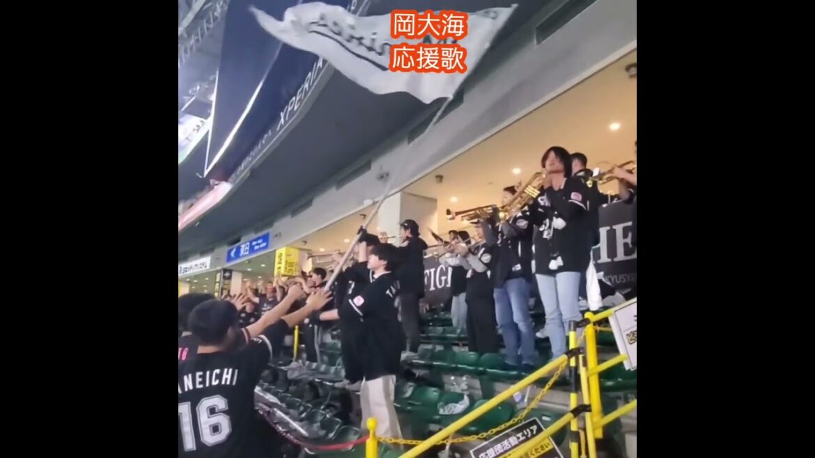 20250330　試合後に流れる【岡大海 応援歌】　#shorts　千葉ﾛｯﾃﾏﾘｰﾝｽﾞ応援席@みずほPayPayﾄﾞｰﾑ福岡･ﾚﾌﾄ外野