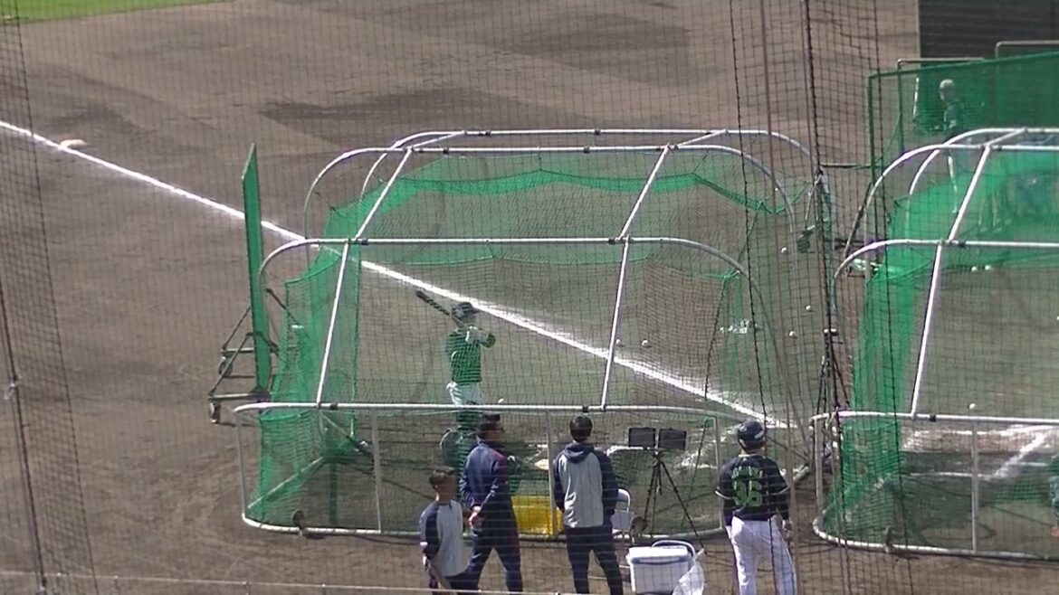 スワローズ内山壮真 打撃練習2025年2月19日 浦添