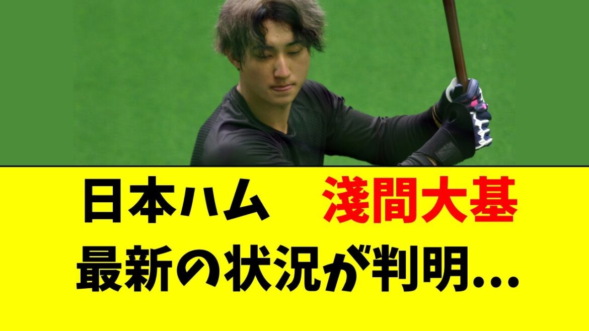 【日ハム】淺間大基の最新の状況がこちら・・・