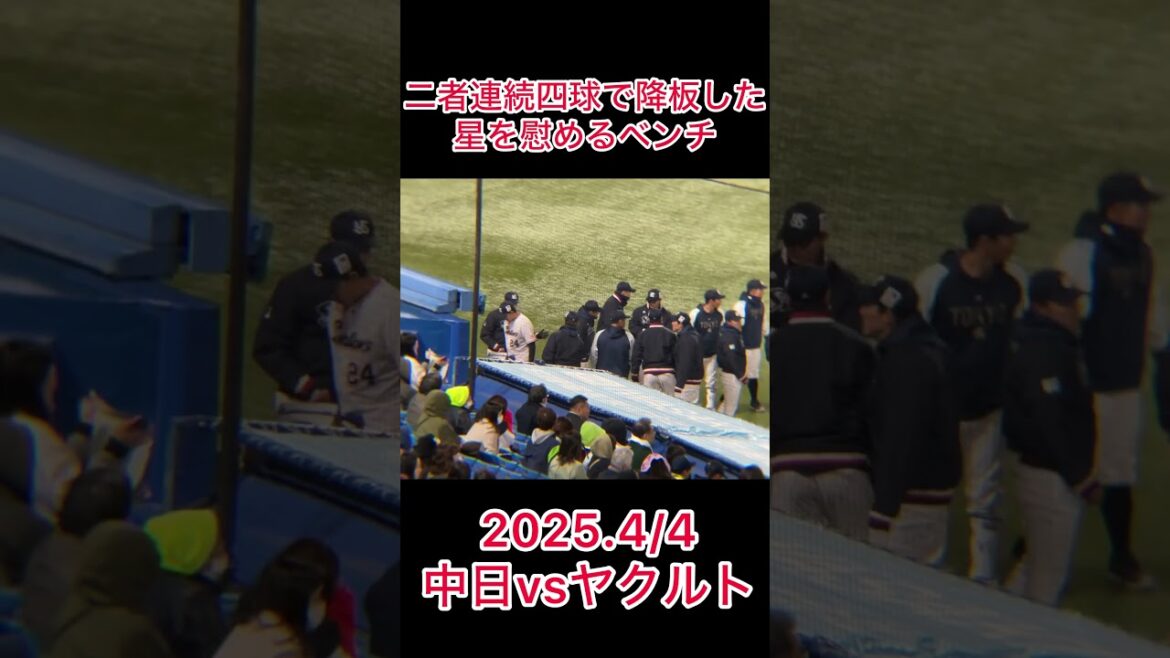 ピンチを作った星をベンチが慰める #プロ野球 #東京ヤクルトスワローズ #野球