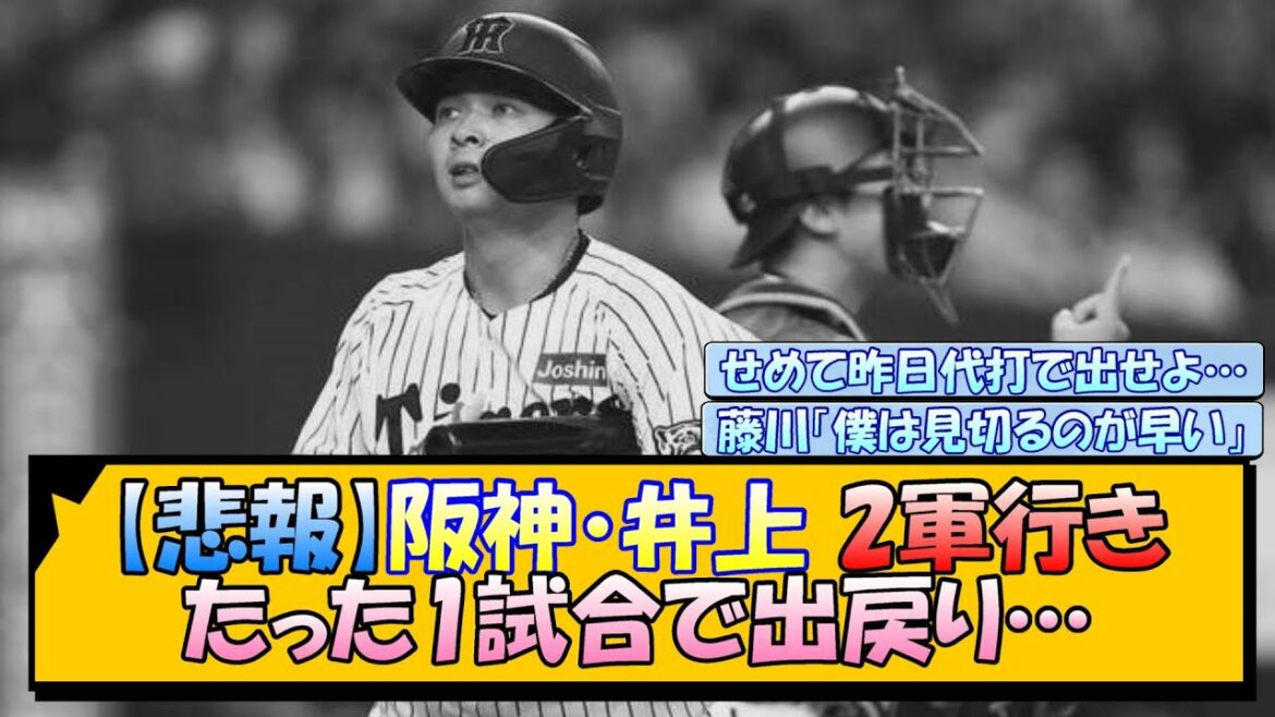 【悲報】阪神・井上2軍行き たった1試合で出戻り…【なんJ/2ch/5ch/ネット 反応 まとめ/阪神タイガース/藤川球児/プロ野球】