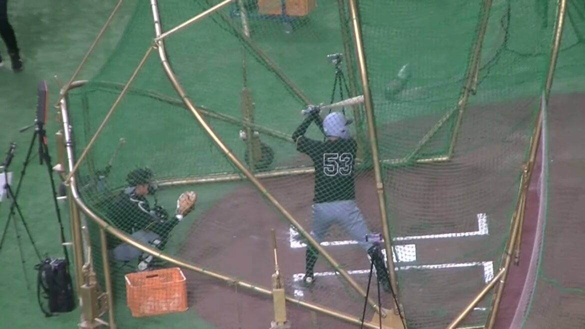 タイガース島田海吏フリーバッティング2025年4月4日 東京ドーム 阪神タイガース練習