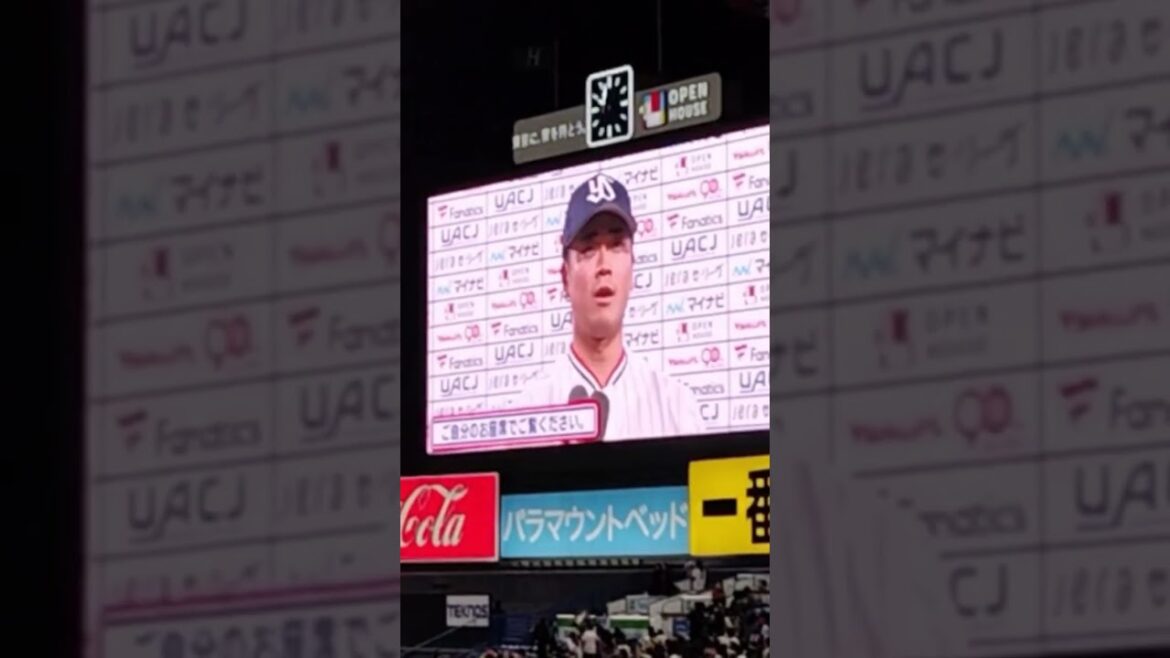 ヤクルトスワローズ　丸山選手　インタビュー