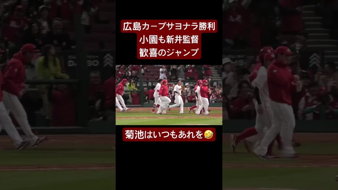 広島カープサヨナラ勝ち歓喜の瞬間！2025年4月5日