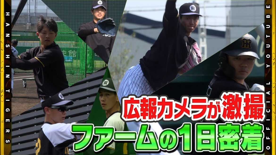 Hanshin-Tigers: 【ファーム】#広報カメラ #ゼロカーボンベースボールパーク の1日!ファーム公式戦に臨む選手たちを追いました! 【ファーム】#広報カメラ #ゼロカーボンベースボールパーク の1日!ファーム公式戦に臨む選手たちを追いました!