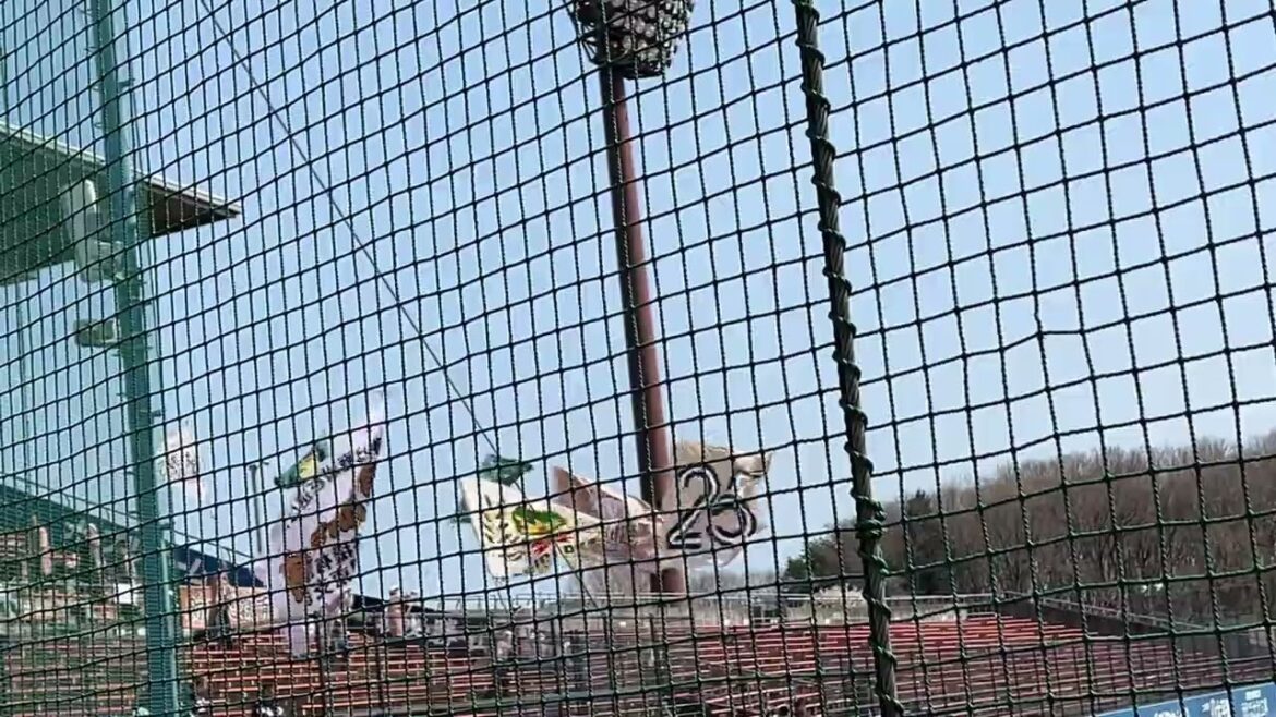 【2025開幕戦！ビジターで圧倒的な応援旗勢揃いの7つ！！】栃木ゴールデンブレーブス 初回攻撃開始テーマ〜吉川光夫登板テーマ ノーブルホームスタジアム水戸