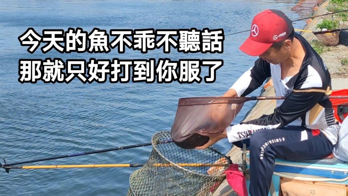 【福壽魚之章-當日上片】今天的魚不乖不聽話,權老闆只好用出絕招打到你服了! 【福壽魚之章-當日上片】今天的魚不乖不聽話,權老闆只好用出絕招打到你服了!