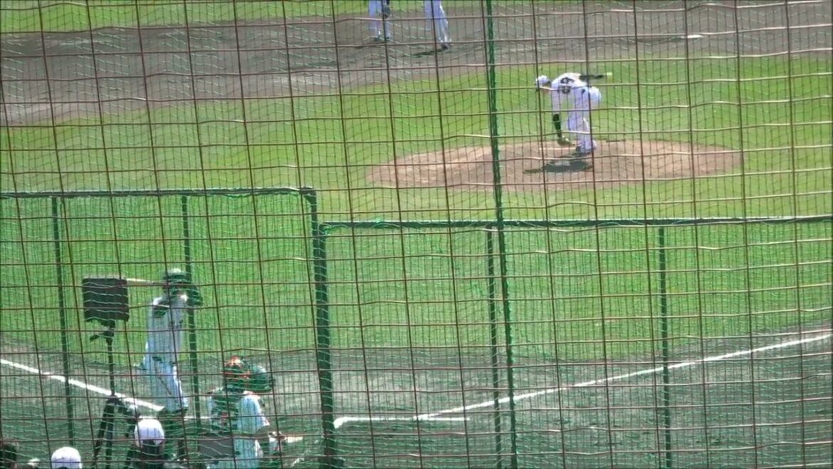 高橋礼 vs 若林楽人【シート打撃（2025.02.20）】