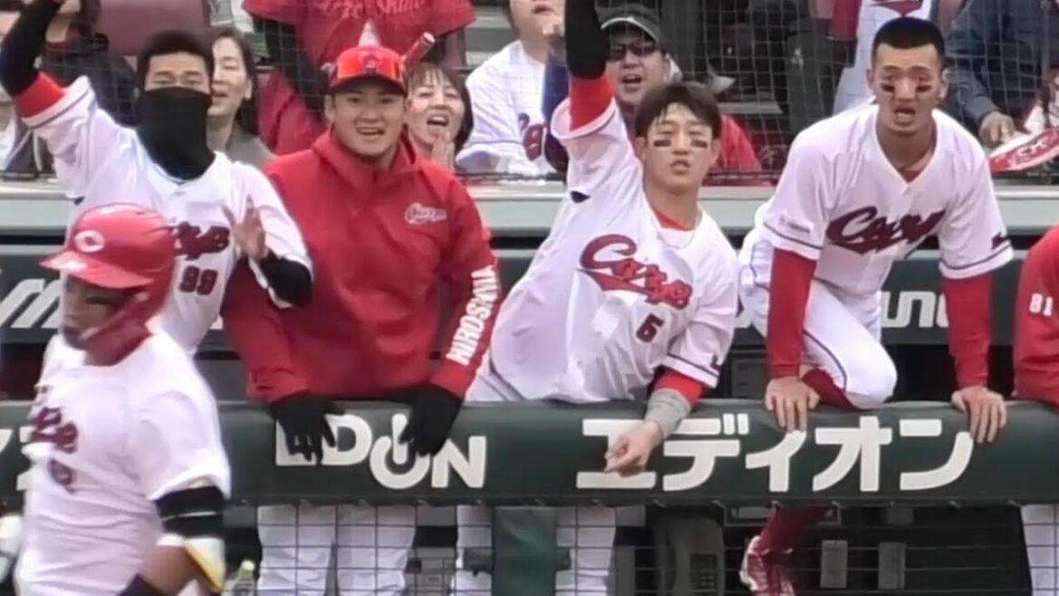 2回、2点ビハインドから同点に追いつく瞬間、広島カープベンチハイライト！広島東洋カープvs横浜DeNAベイスターズ 2025年4月5日