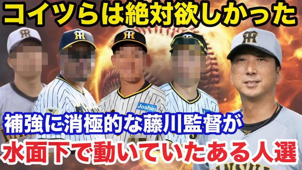 補強に消極的な藤川監督がどうしても欲しがった人物とその理由！水面か密かに動いたある人選【阪神タイガース】