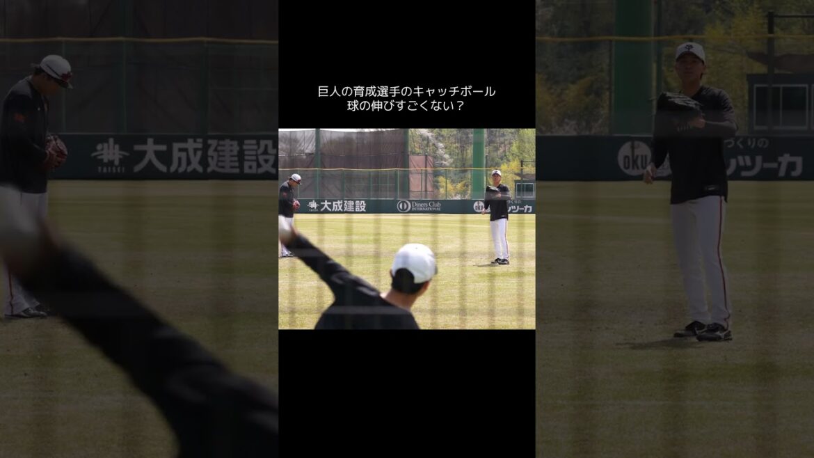 【巨人】プロ野球選手のキャッチボール #shorts #baseball #sports #ジャイアンツ #巨人 #プロ野球