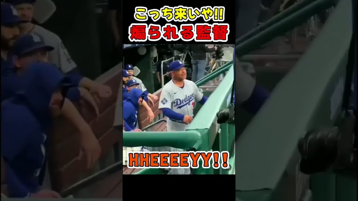 ロバーツ監督、煽られるｗｗｗ【ドジャース大谷翔平】 #野球