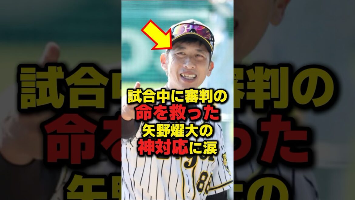 【感動】試合中に審判の命を救った矢野燿大の神対応に涙 #プロ野球 #NPB #海外の反応 #Shorts