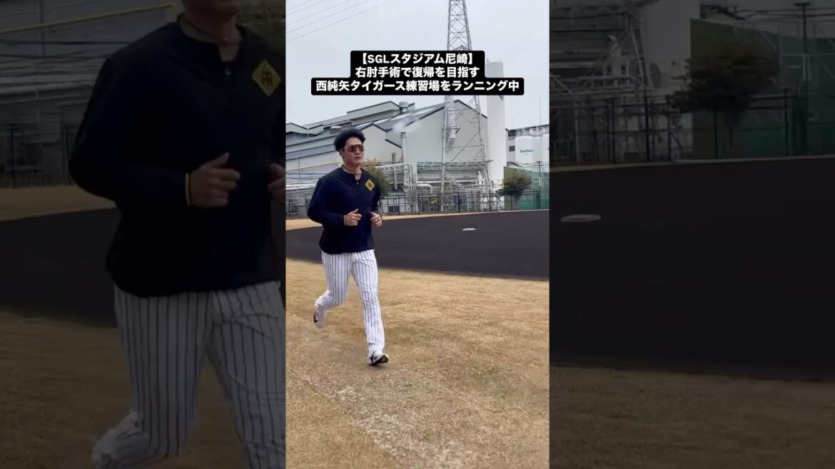 【SGLスタジアム尼崎】右肘手術で復帰を目指す西純矢.タイガース練習場をランニング中　「2025.3.15」 #shorts