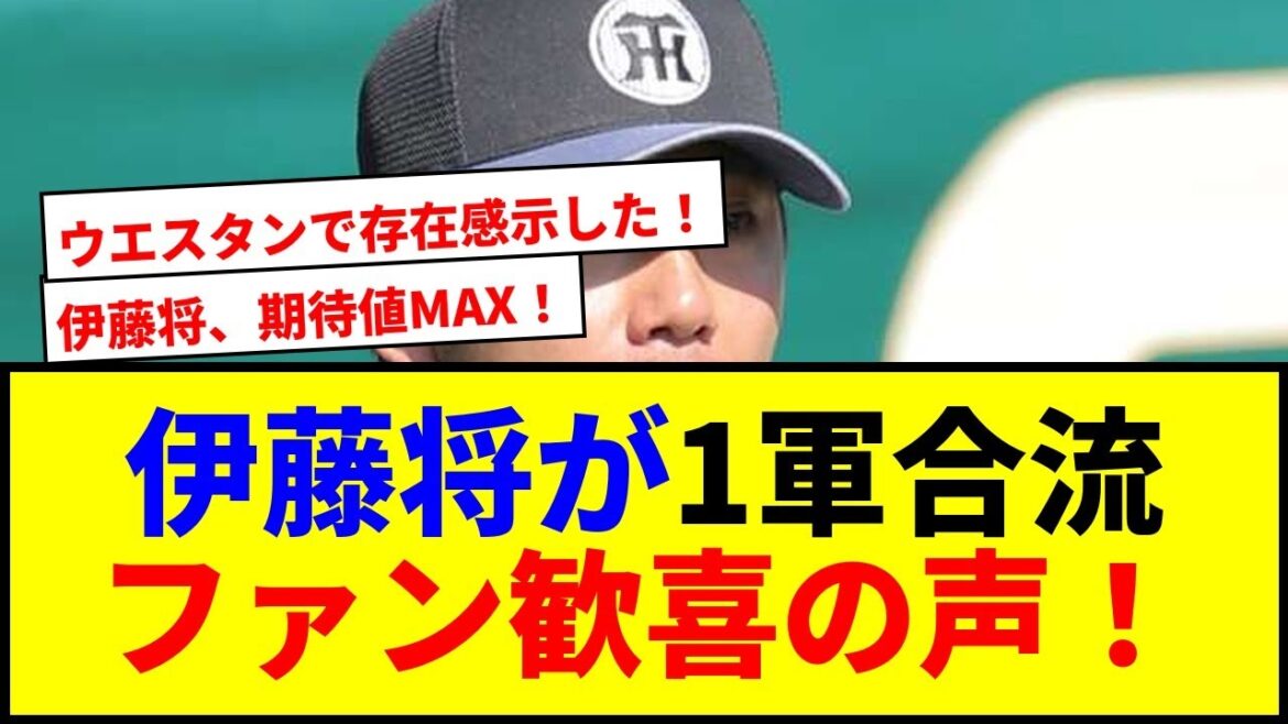 【速報】伊藤将が1軍合流でブルペン救う！虎ファン大歓喜の声wwww