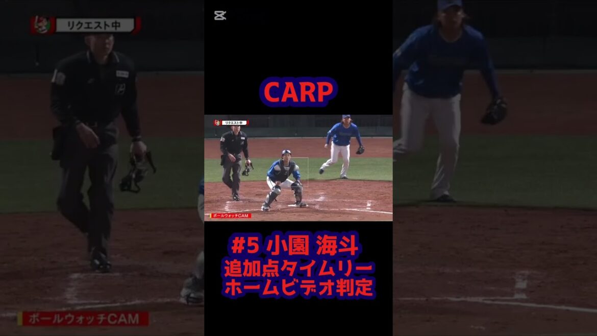 CARP 追加点タイムリーヒット#5 小園海斗 #広島東洋カープ #carp #ビデオ判定