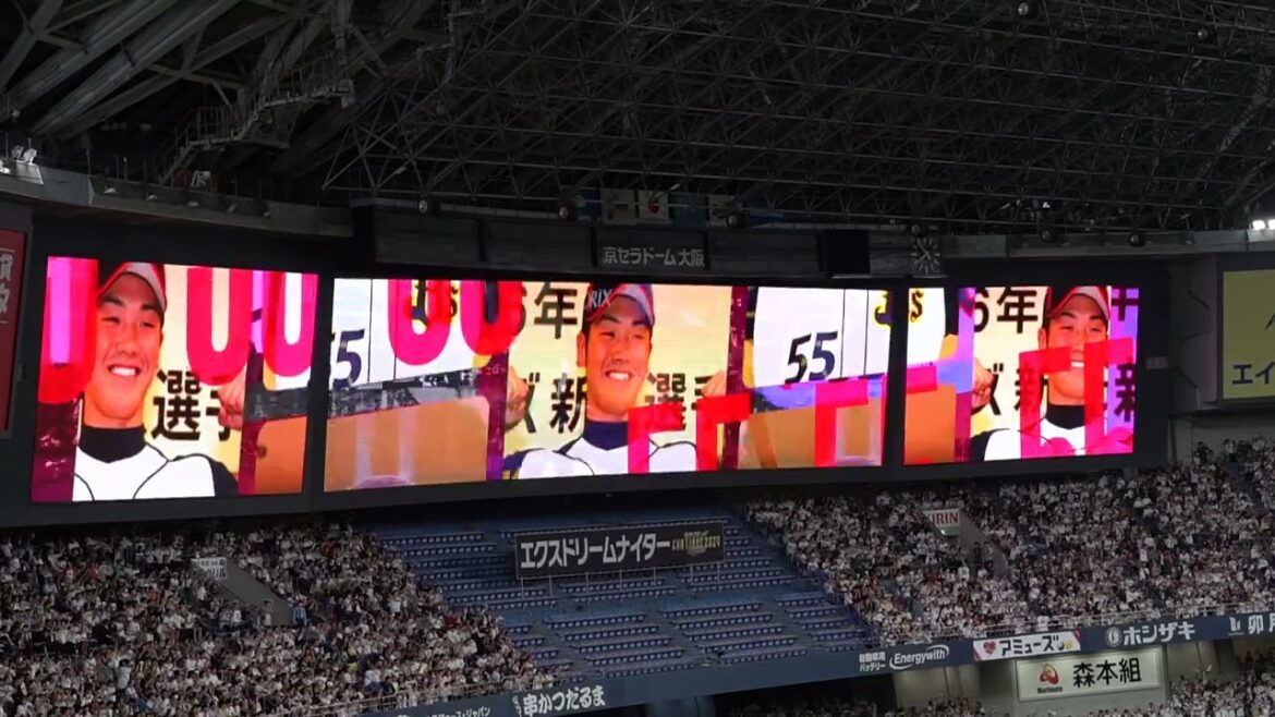 [T-岡田引退試合1打席目!!!]オリックス・バファローズ T-岡田 代打登場からの登場曲(カーニバル)→応援歌 in京セラドーム大阪　2024 9-24